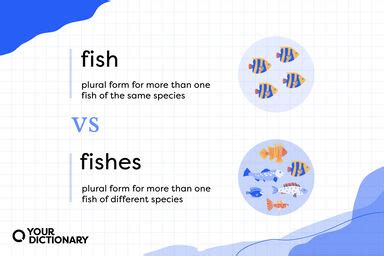 fished|FISHED Definition & Meaning .